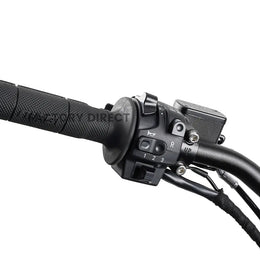 Handlebar switchgear on the Arctic Leopard XE Pro R with three ride modes, reverse and lighting controls