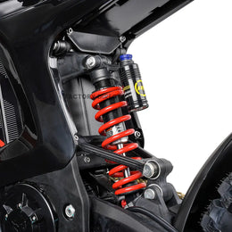 Rear coil-over shock with piggyback reservoir and linkage on the Arctic Leopard XE Pro R
