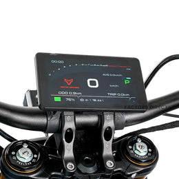 Color TFT dash on the Arctic Leopard XE Pro R showing speed, battery charge, odometer and trip data